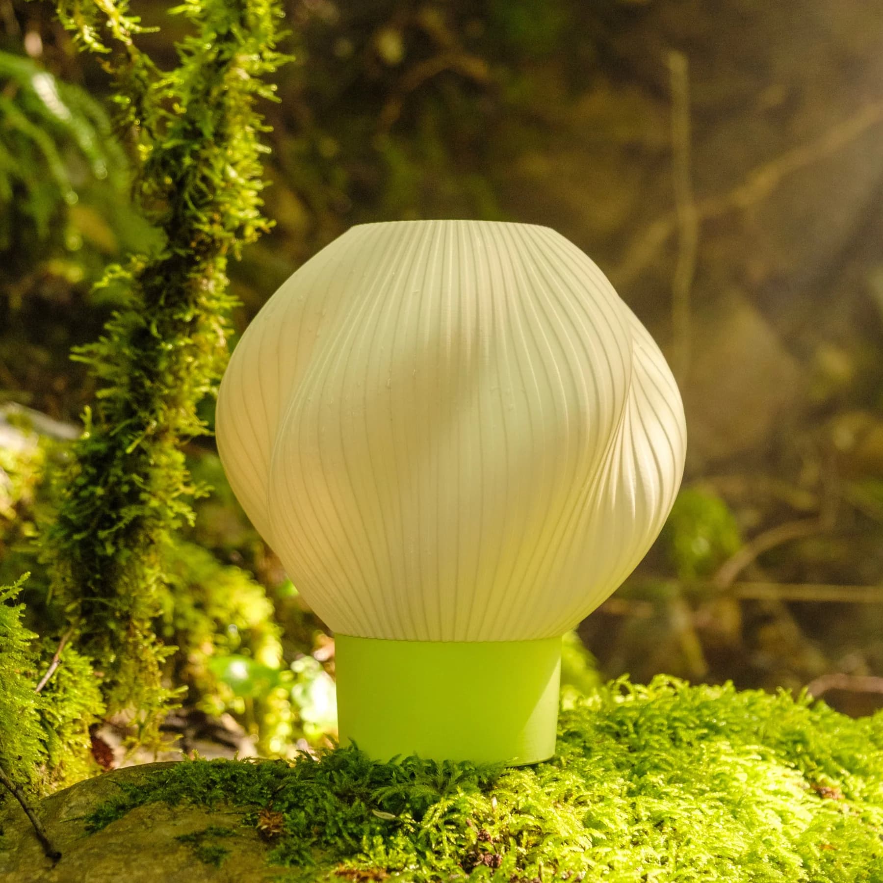 Globus Rosae - alternate view